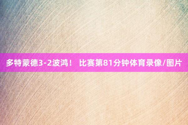 多特蒙德3-2波鸿！ 比赛第81分钟体育录像/图片