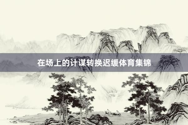在场上的计谋转换迟缓体育集锦