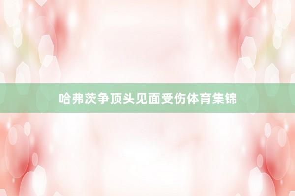 哈弗茨争顶头见面受伤体育集锦
