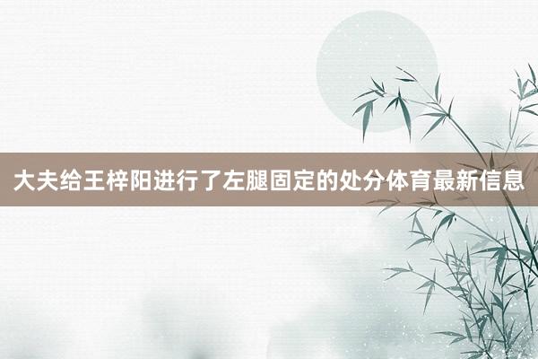 大夫给王梓阳进行了左腿固定的处分体育最新信息