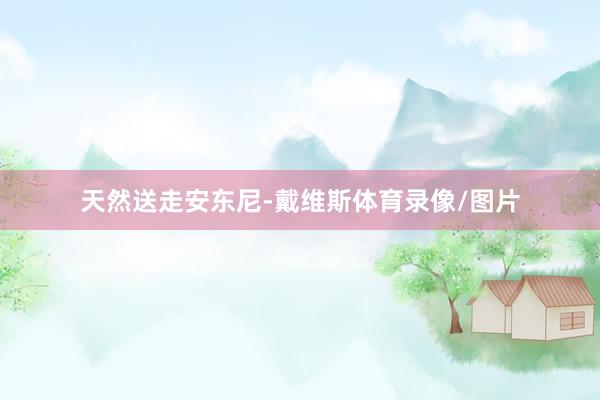 天然送走安东尼-戴维斯体育录像/图片