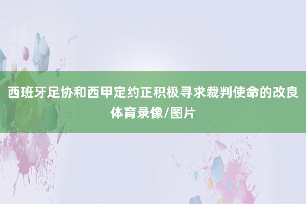 西班牙足协和西甲定约正积极寻求裁判使命的改良体育录像/图片