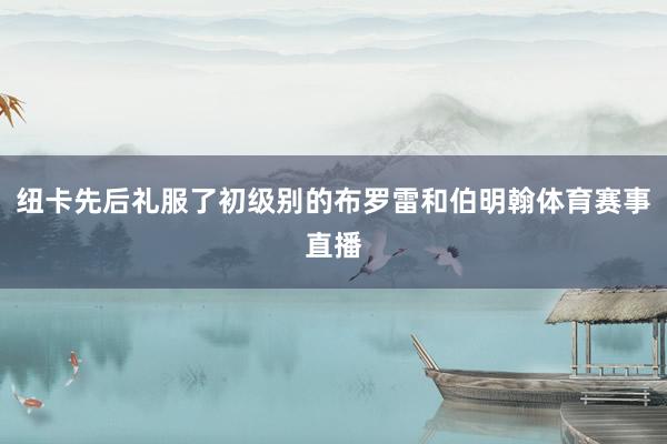 纽卡先后礼服了初级别的布罗雷和伯明翰体育赛事直播