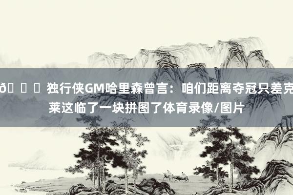 😅独行侠GM哈里森曾言：咱们距离夺冠只差克莱这临了一块拼图了体育录像/图片