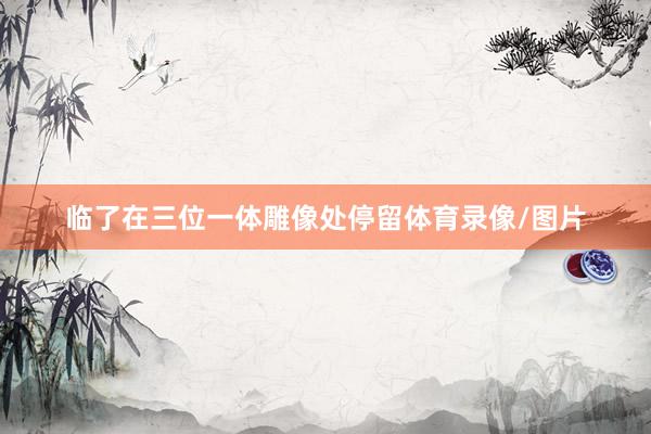 临了在三位一体雕像处停留体育录像/图片